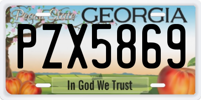 GA license plate PZX5869