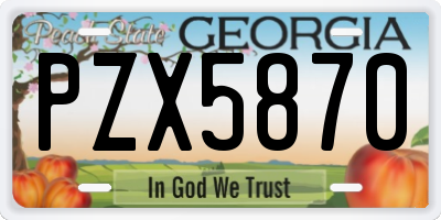 GA license plate PZX5870