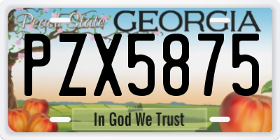 GA license plate PZX5875