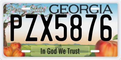 GA license plate PZX5876