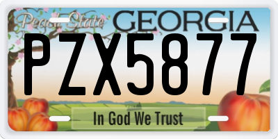 GA license plate PZX5877