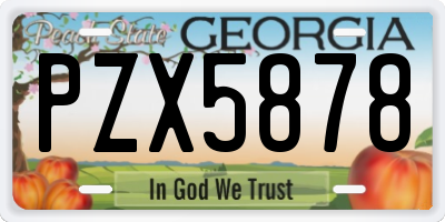 GA license plate PZX5878