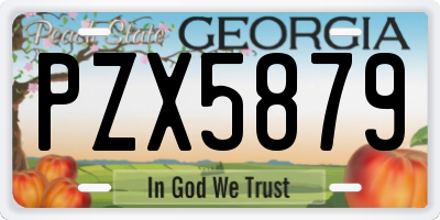 GA license plate PZX5879