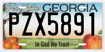 GA license plate PZX5891