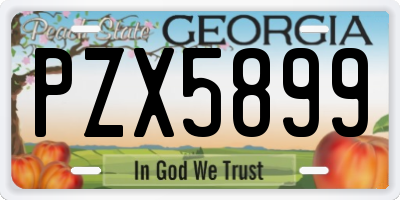 GA license plate PZX5899