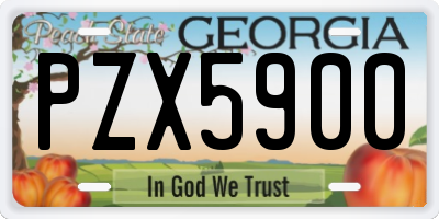 GA license plate PZX5900