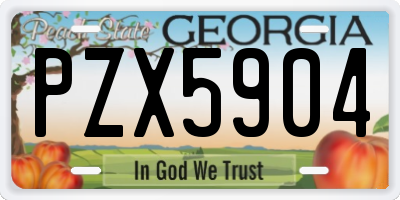 GA license plate PZX5904
