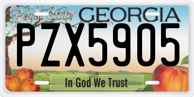 GA license plate PZX5905