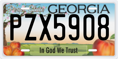 GA license plate PZX5908