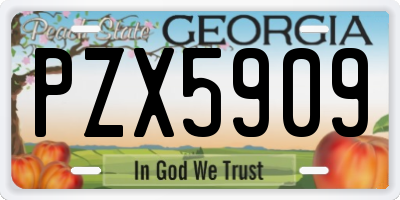 GA license plate PZX5909