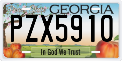 GA license plate PZX5910