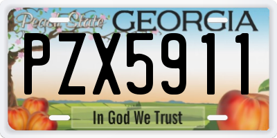 GA license plate PZX5911