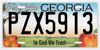 GA license plate PZX5913