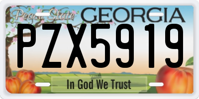 GA license plate PZX5919