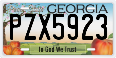 GA license plate PZX5923