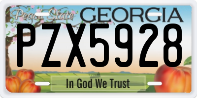 GA license plate PZX5928