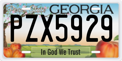 GA license plate PZX5929