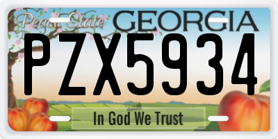 GA license plate PZX5934