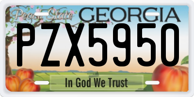 GA license plate PZX5950