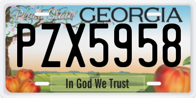 GA license plate PZX5958
