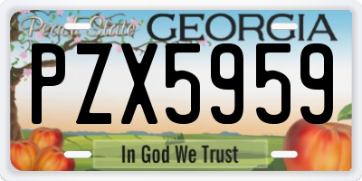 GA license plate PZX5959