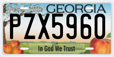 GA license plate PZX5960