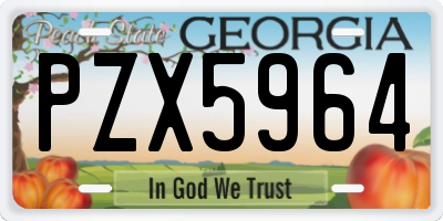 GA license plate PZX5964