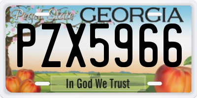 GA license plate PZX5966