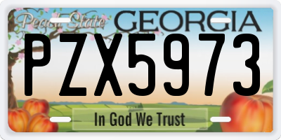 GA license plate PZX5973