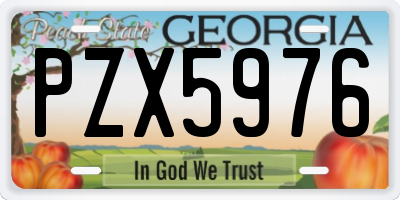 GA license plate PZX5976