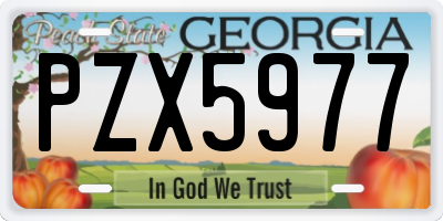 GA license plate PZX5977