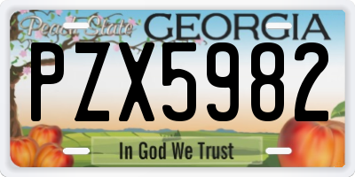 GA license plate PZX5982