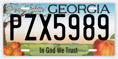 GA license plate PZX5989