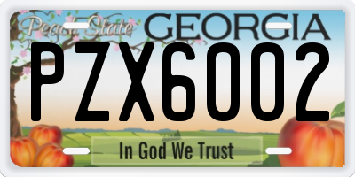 GA license plate PZX6002