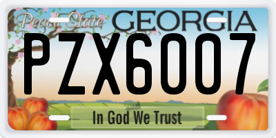 GA license plate PZX6007
