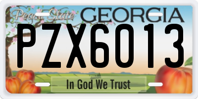 GA license plate PZX6013