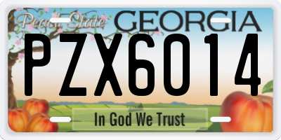 GA license plate PZX6014