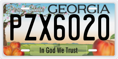 GA license plate PZX6020