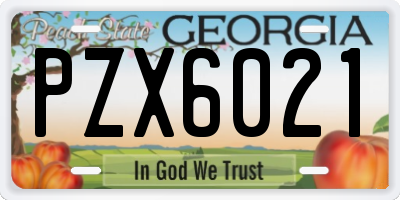 GA license plate PZX6021