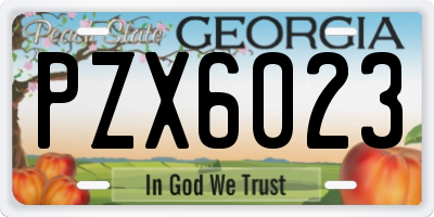 GA license plate PZX6023