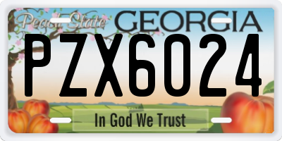 GA license plate PZX6024