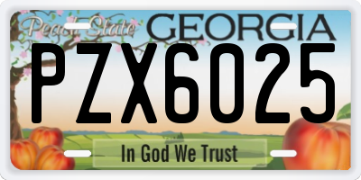 GA license plate PZX6025