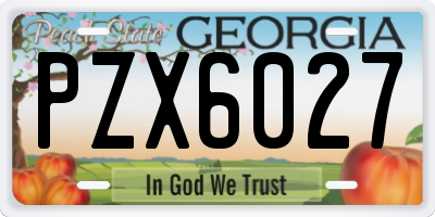 GA license plate PZX6027