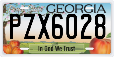 GA license plate PZX6028