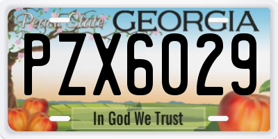 GA license plate PZX6029