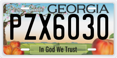 GA license plate PZX6030