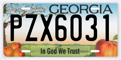 GA license plate PZX6031