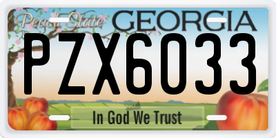 GA license plate PZX6033