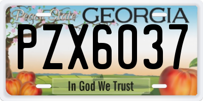 GA license plate PZX6037