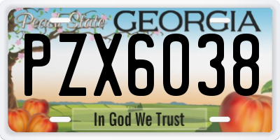 GA license plate PZX6038